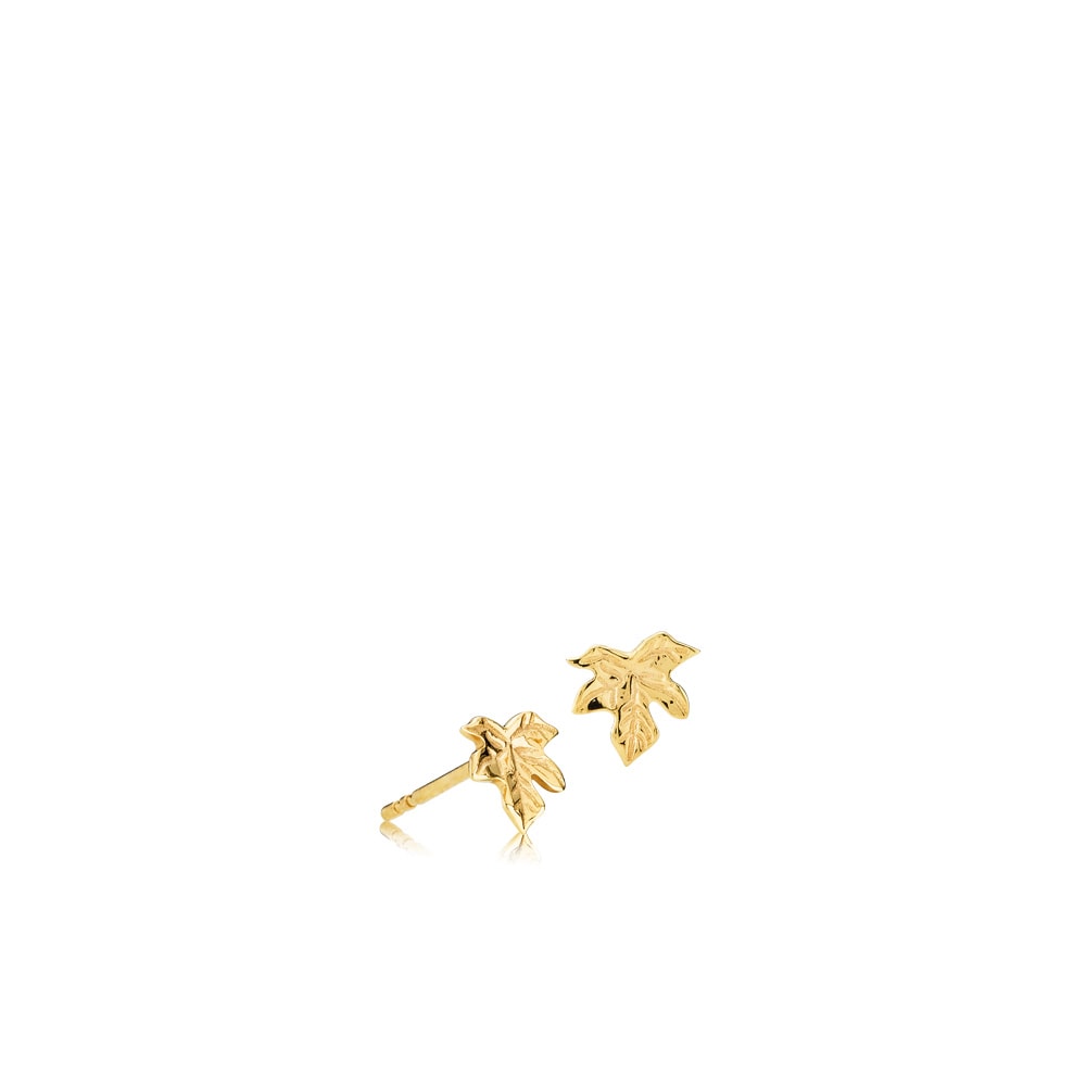 Caley - Earrings Gold Plated